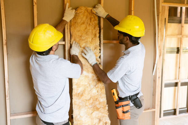 Best Professional Insulation Contractor  in Hamburg, NJ